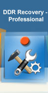 DDR Professional - Data recovery software